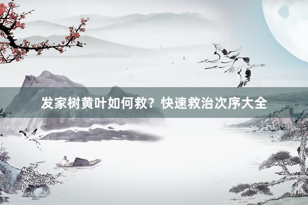 发家树黄叶如何救？快速救治次序大全