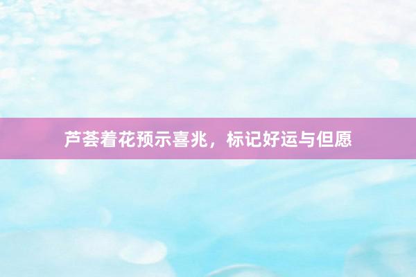 芦荟着花预示喜兆,标记好运与但愿