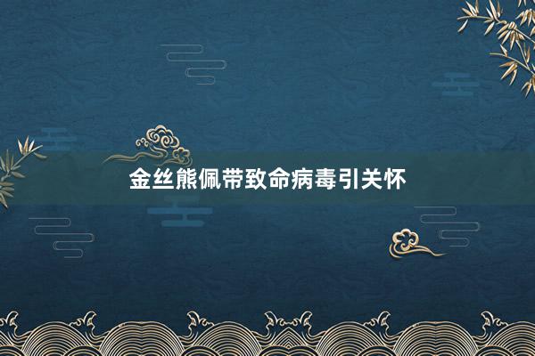 金丝熊佩带致命病毒引关怀