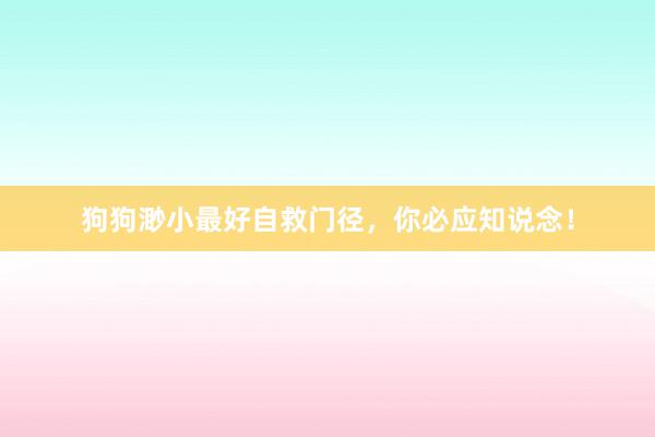 狗狗渺小最好自救门径，你必应知说念！