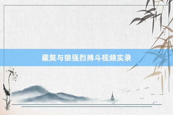 藏獒与狼强烈搏斗视频实录